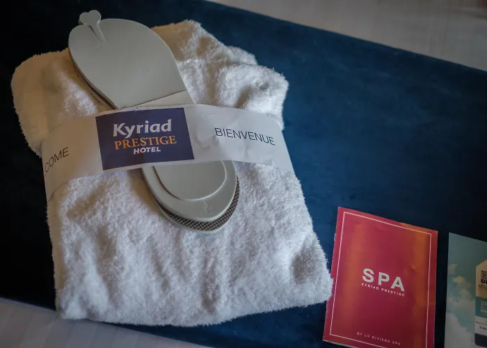 Kyriad Prestige Lyon Est - Saint Priest Eurexpo Hotel&SPA